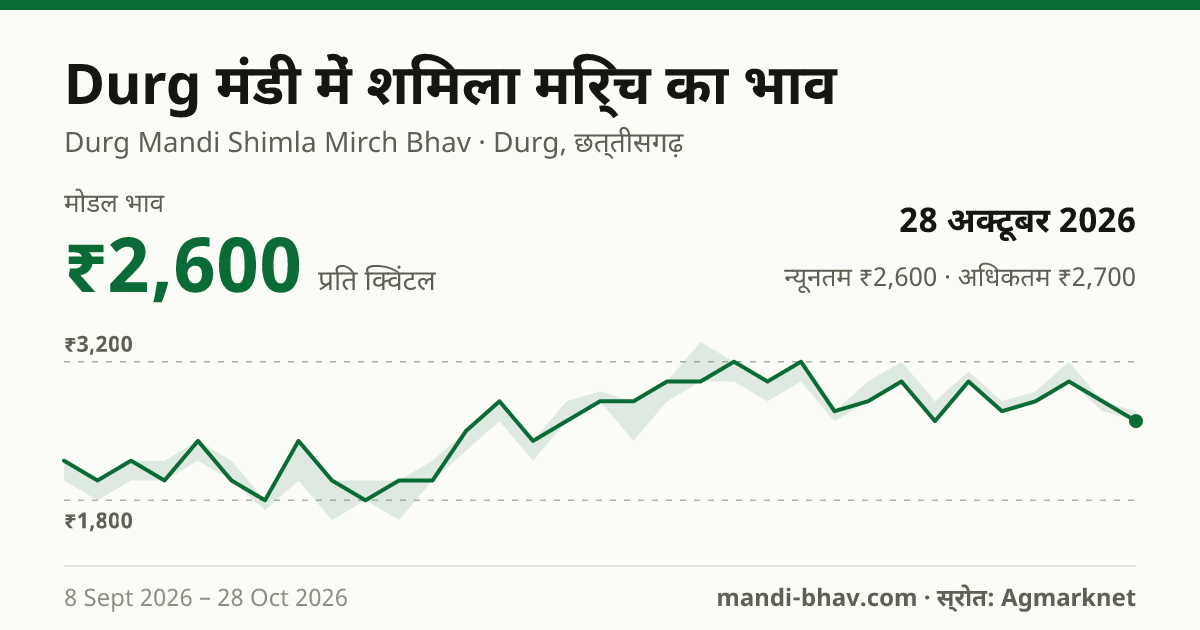 Durg मंडी में Chilly Capsicum का भाव 28 अक्टूबर 2026: मोडल ₹2,600 प्रति क्विंटल, भाव के रुझान का चार्ट