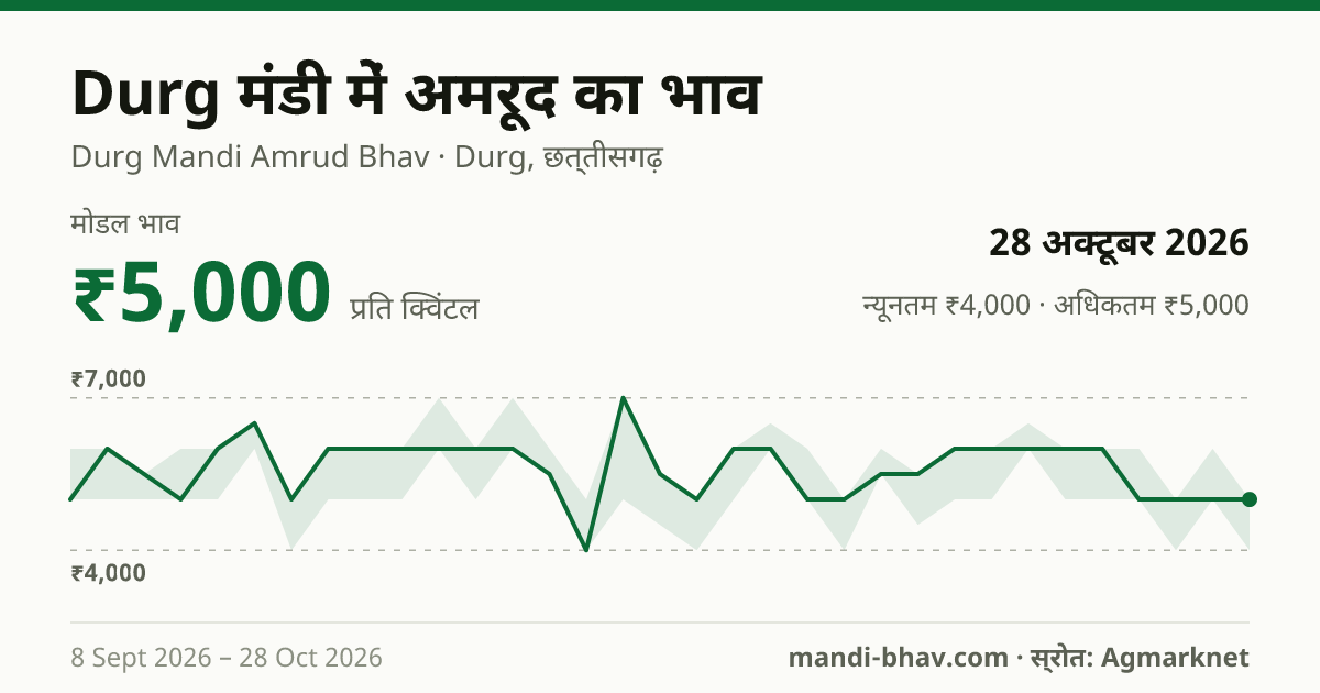 Durg मंडी में अमरूद का भाव 28 अक्टूबर 2026: मोडल ₹5,000 प्रति क्विंटल, भाव के रुझान का चार्ट