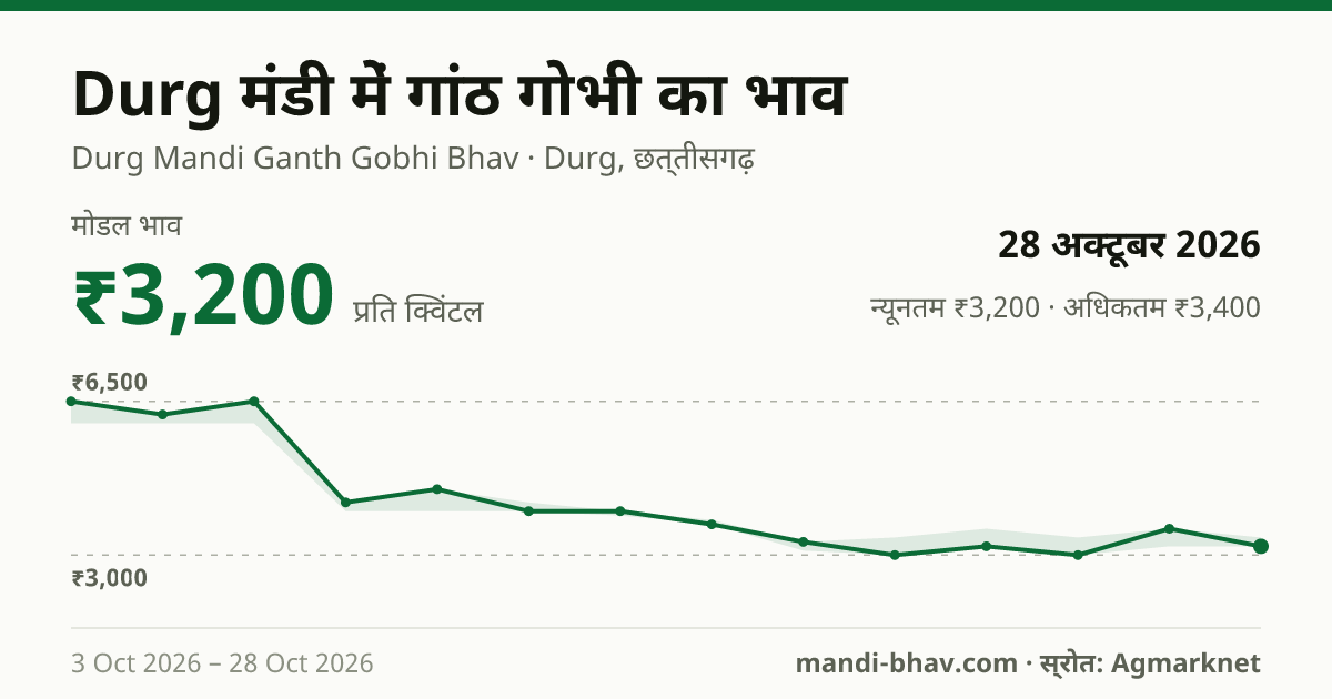 Durg मंडी में गांठ गोभी का भाव 28 अक्टूबर 2026: मोडल ₹3,200 प्रति क्विंटल, भाव के रुझान का चार्ट