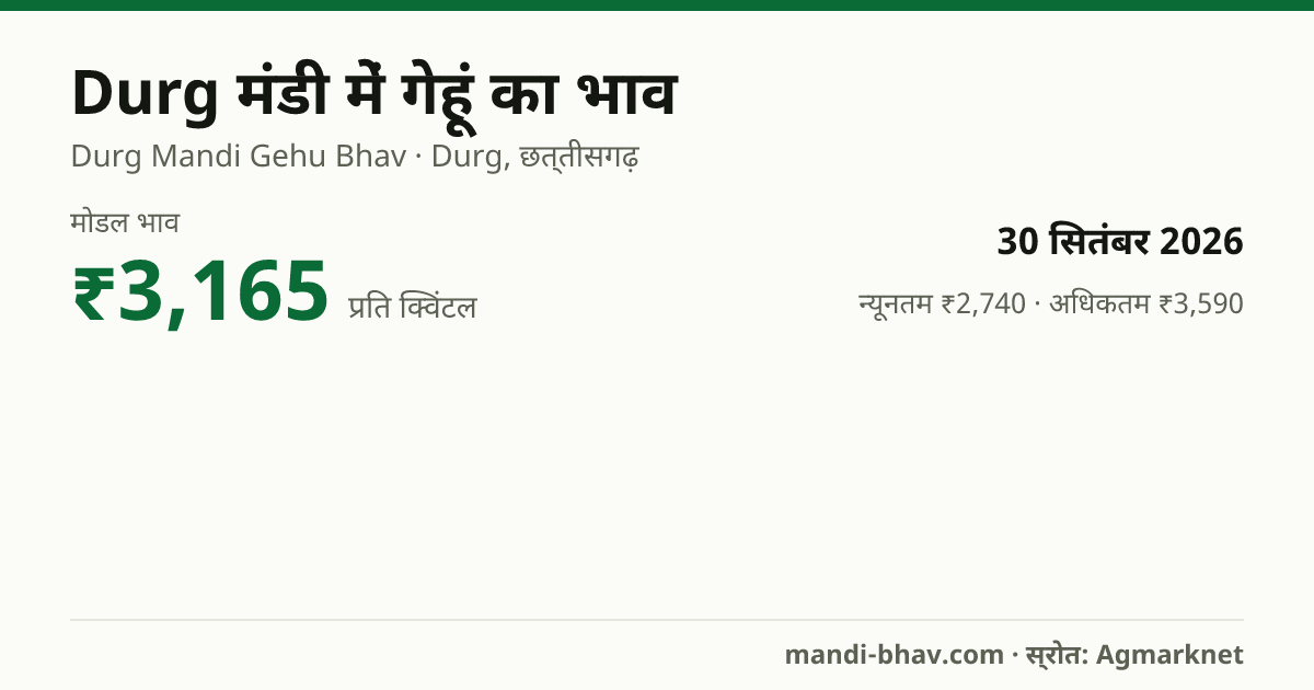 Durg मंडी में गेहूं का भाव 30 सितंबर 2026: मोडल ₹3,165 प्रति क्विंटल, भाव के रुझान का चार्ट