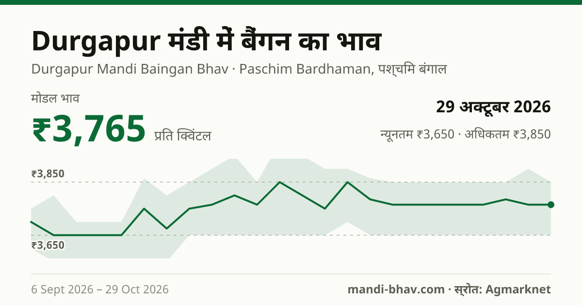 Durgapur मंडी में बैंगन का भाव 29 अक्टूबर 2026: मोडल ₹3,765 प्रति क्विंटल, भाव के रुझान का चार्ट