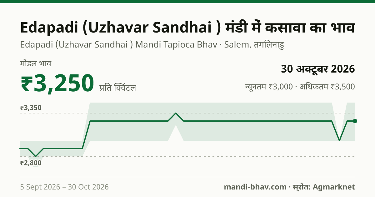 Edapadi (Uzhavar Sandhai ) मंडी में कसावा का भाव 30 अक्टूबर 2026: मोडल ₹3,250 प्रति क्विंटल, भाव के रुझान का चार्ट
