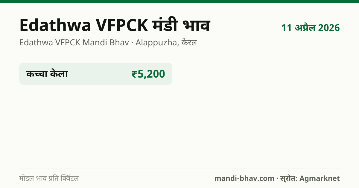 Edathwa VFPCK मंडी भाव 11 अप्रैल 2026: फसलवार मोडल रेट प्रति क्विंटल