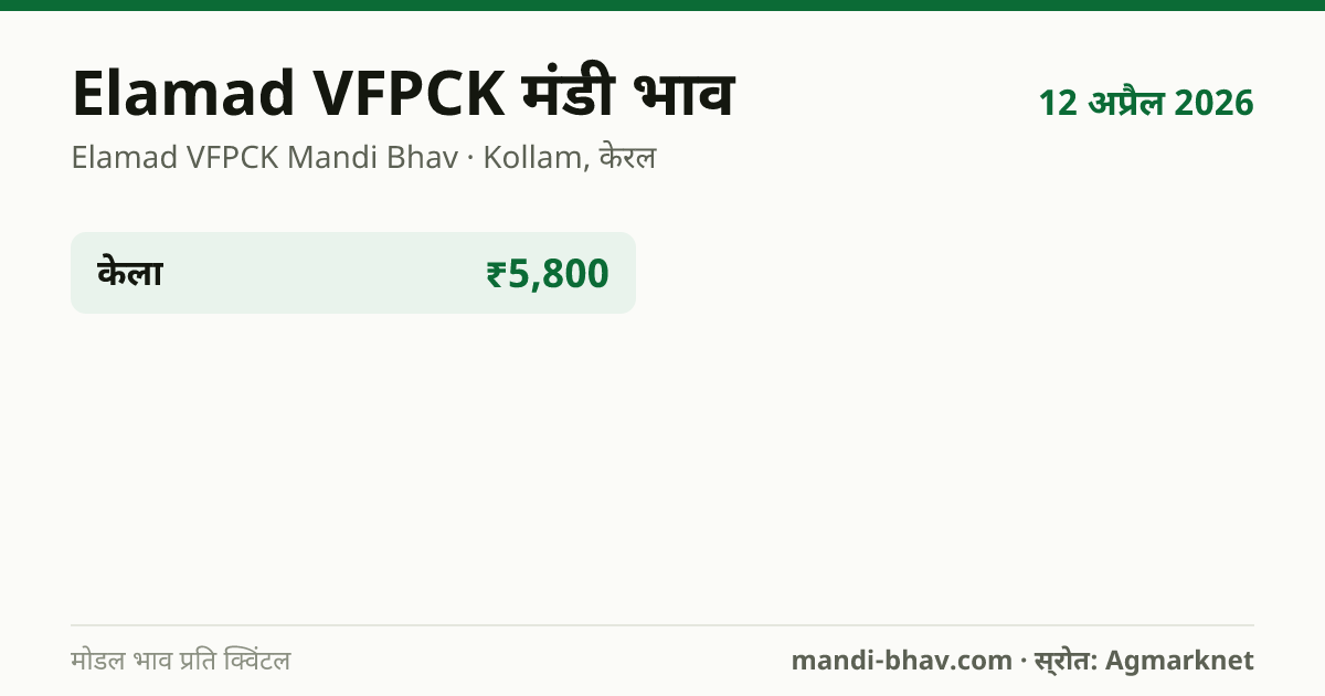 Elamad VFPCK मंडी भाव 12 अप्रैल 2026: फसलवार मोडल रेट प्रति क्विंटल