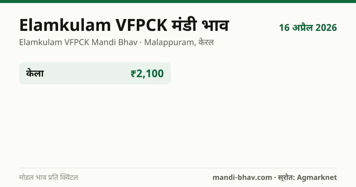 Elamkulam VFPCK मंडी भाव 16 अप्रैल 2026: फसलवार मोडल रेट प्रति क्विंटल