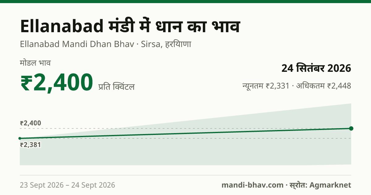 Ellanabad मंडी में धान का भाव 24 सितंबर 2026: मोडल ₹2,400 प्रति क्विंटल, भाव के रुझान का चार्ट