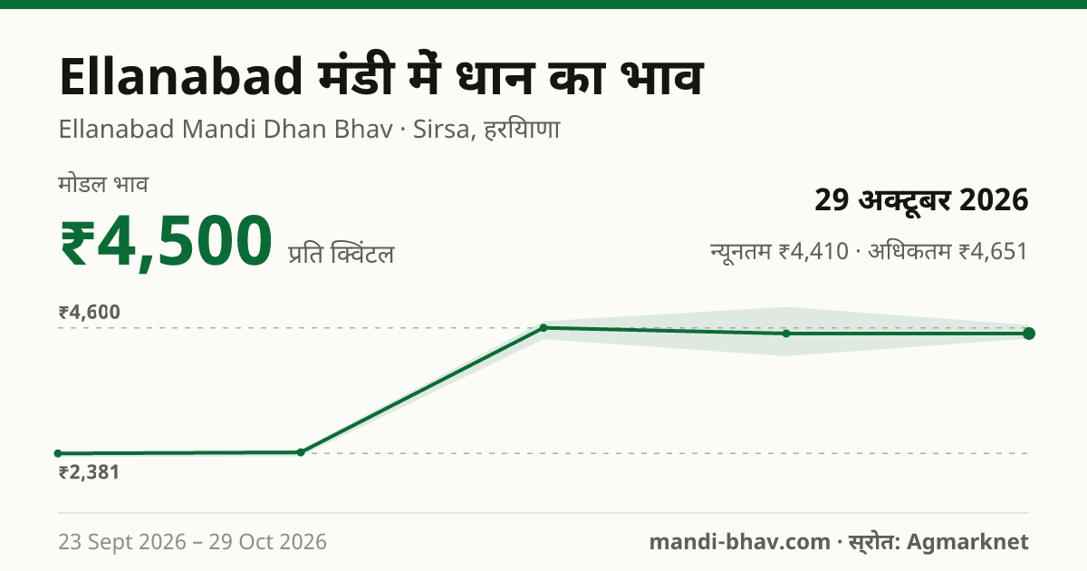 Ellanabad मंडी में धान का भाव 29 अक्टूबर 2026: मोडल ₹4,500 प्रति क्विंटल, भाव के रुझान का चार्ट