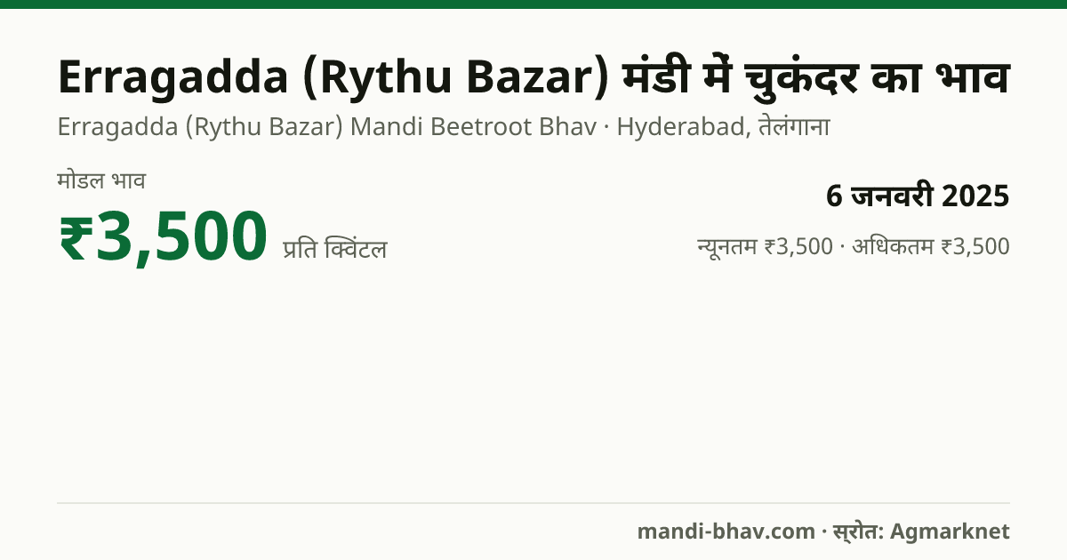 Erragadda (Rythu Bazar) मंडी में चुकंदर का भाव 6 जनवरी 2025: मोडल ₹3,500 प्रति क्विंटल, भाव के रुझान का चार्ट