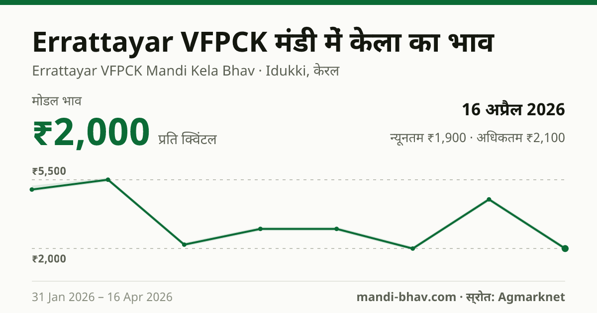 Errattayar VFPCK मंडी में केला का भाव 16 अप्रैल 2026: मोडल ₹2,000 प्रति क्विंटल, भाव के रुझान का चार्ट