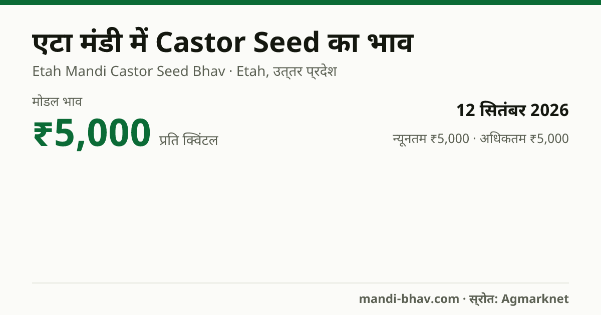 एटा मंडी में Castor Seed का भाव 12 सितंबर 2026: मोडल ₹5,000 प्रति क्विंटल, भाव के रुझान का चार्ट