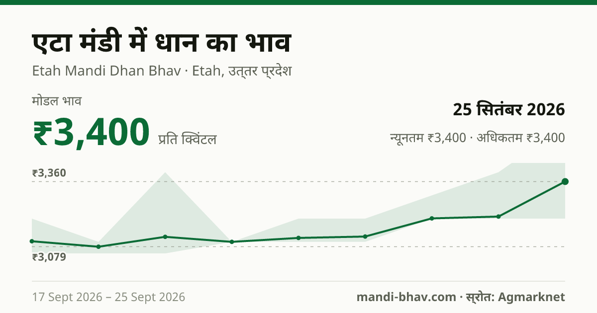 एटा मंडी में धान का भाव 25 सितंबर 2026: मोडल ₹3,400 प्रति क्विंटल, भाव के रुझान का चार्ट