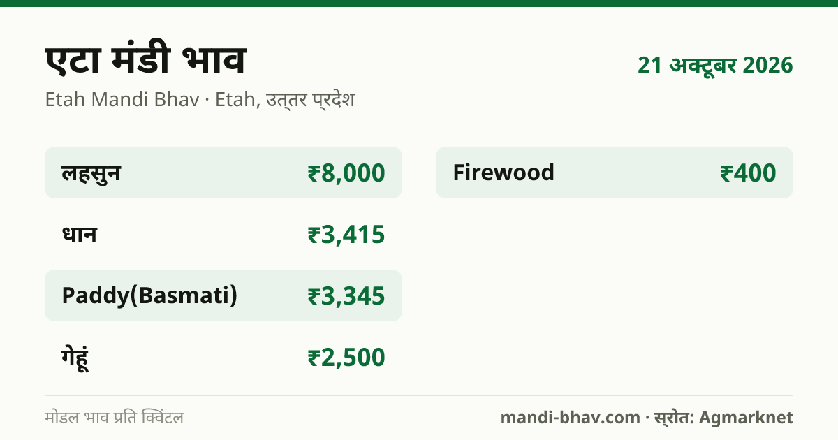 एटा मंडी भाव 21 अक्टूबर 2026: फसलवार मोडल रेट प्रति क्विंटल