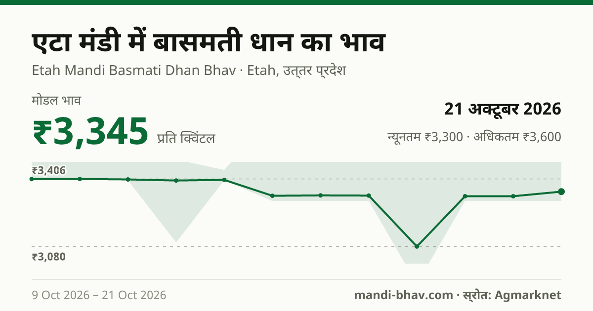 एटा मंडी में Paddy(Basmati) का भाव 21 अक्टूबर 2026: मोडल ₹3,345 प्रति क्विंटल, भाव के रुझान का चार्ट