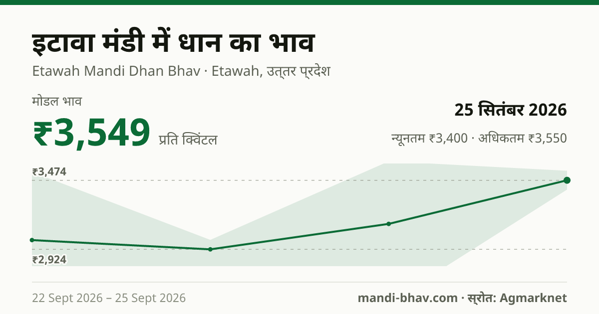 इटावा मंडी में धान का भाव 25 सितंबर 2026: मोडल ₹3,549 प्रति क्विंटल, भाव के रुझान का चार्ट