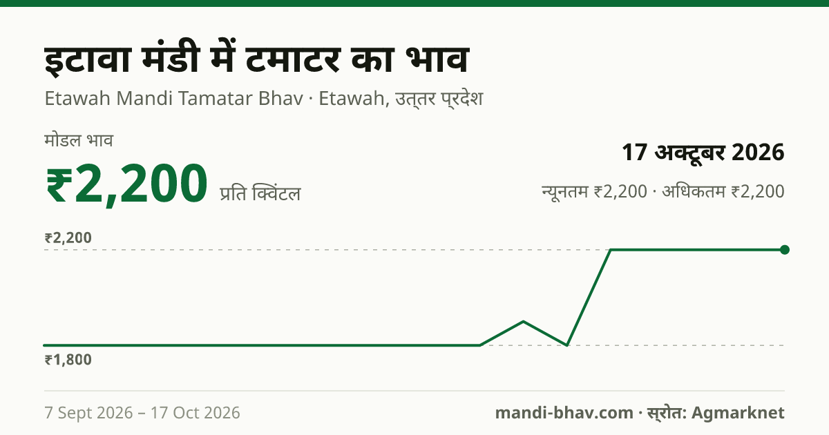इटावा मंडी में टमाटर का भाव 17 अक्टूबर 2026: मोडल ₹2,200 प्रति क्विंटल, भाव के रुझान का चार्ट