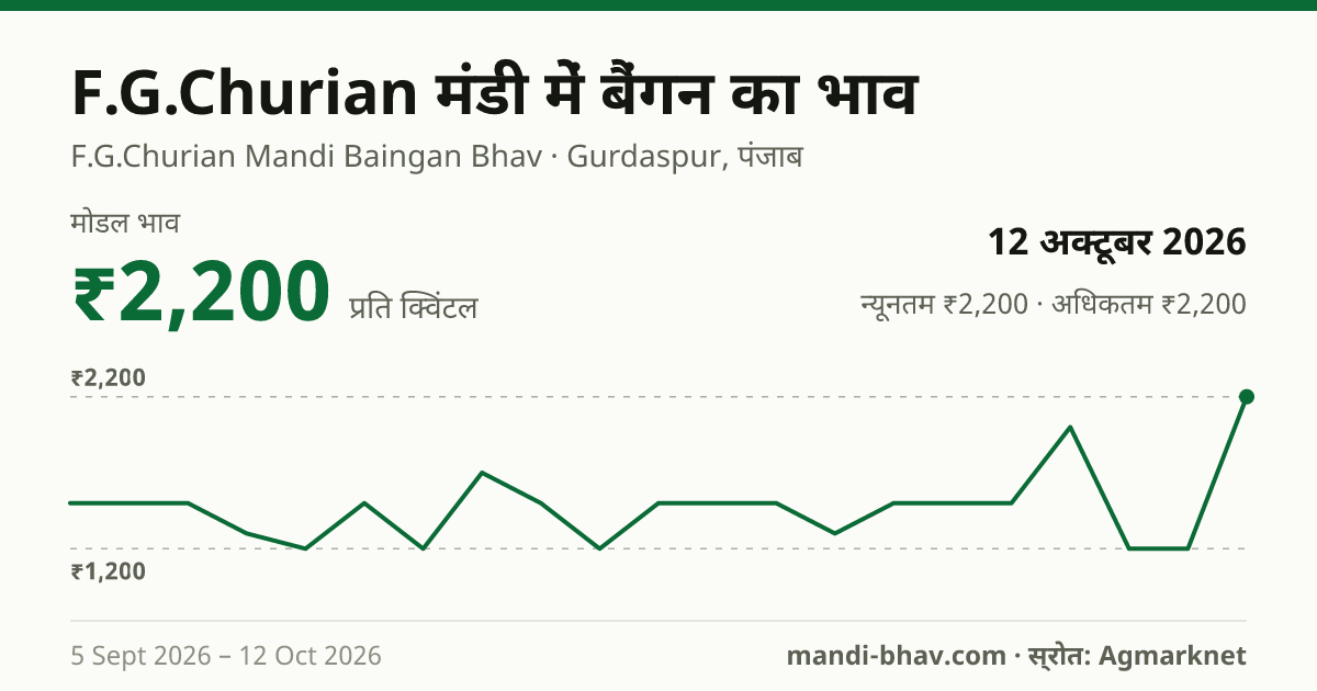 F.G.Churian मंडी में बैंगन का भाव 12 अक्टूबर 2026: मोडल ₹2,200 प्रति क्विंटल, भाव के रुझान का चार्ट