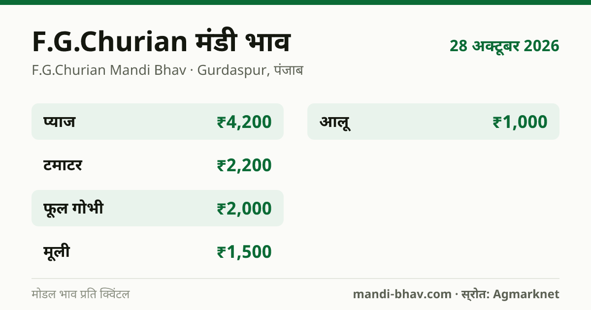 F.G.Churian मंडी भाव 28 अक्टूबर 2026: फसलवार मोडल रेट प्रति क्विंटल