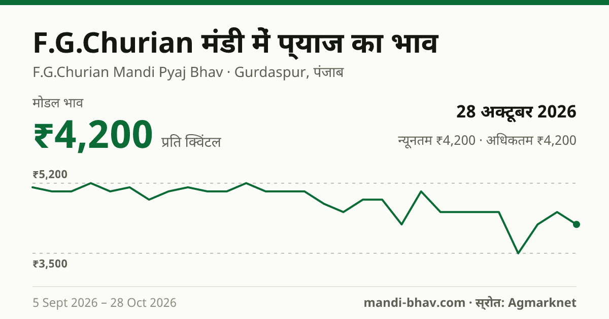 F.G.Churian मंडी में प्याज का भाव 28 अक्टूबर 2026: मोडल ₹4,200 प्रति क्विंटल, भाव के रुझान का चार्ट