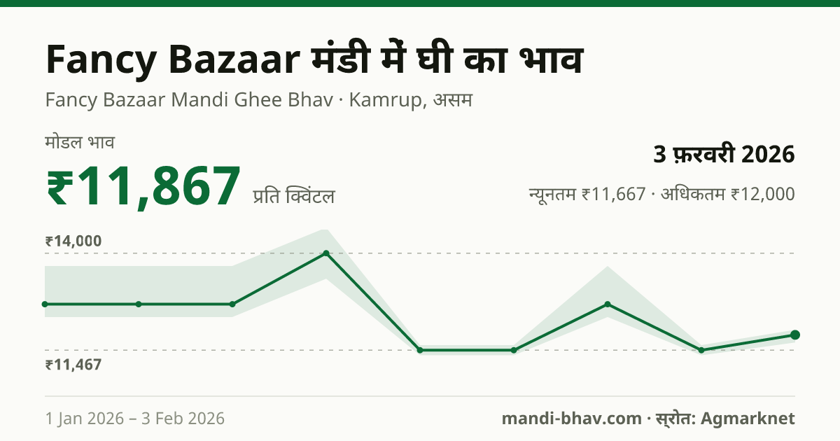 Fancy Bazaar मंडी में घी का भाव 3 फ़रवरी 2026: मोडल ₹11,867 प्रति क्विंटल, भाव के रुझान का चार्ट