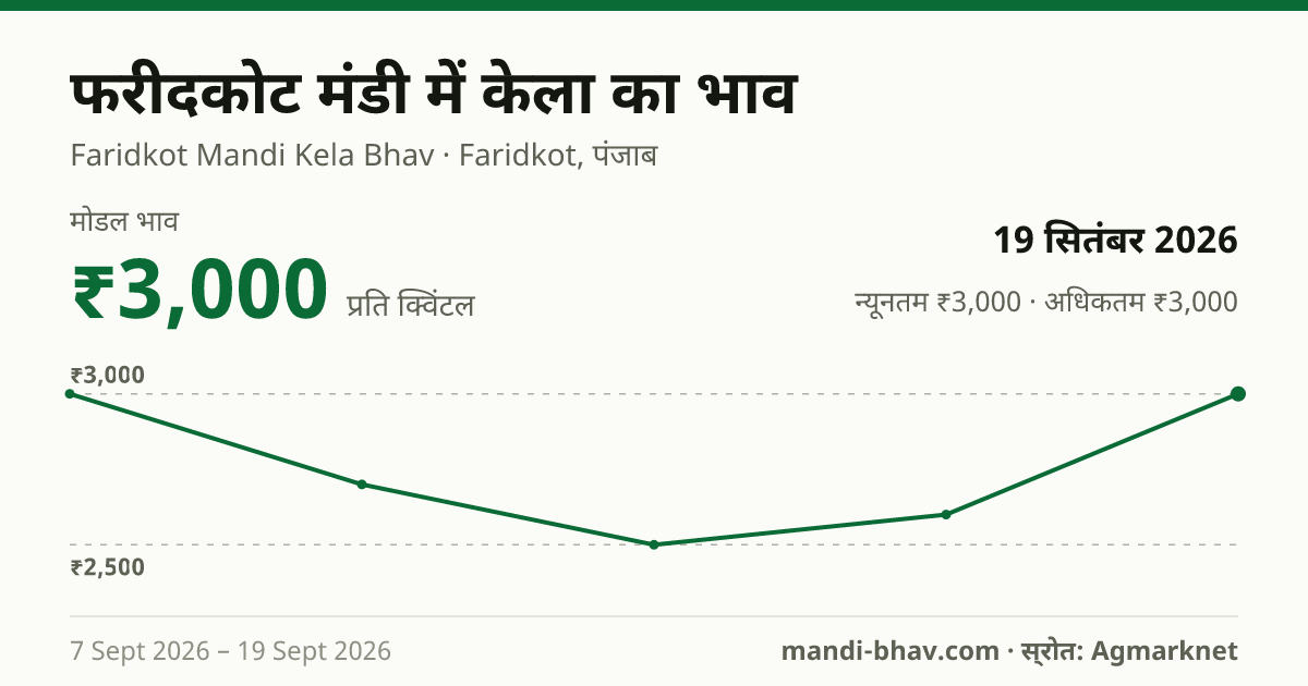 फरीदकोट मंडी में केला का भाव 19 सितंबर 2026: मोडल ₹3,000 प्रति क्विंटल, भाव के रुझान का चार्ट