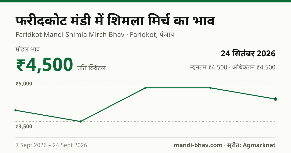फरीदकोट मंडी में शिमला मिर्च का भाव 24 सितंबर 2026: मोडल ₹4,500 प्रति क्विंटल, भाव के रुझान का चार्ट