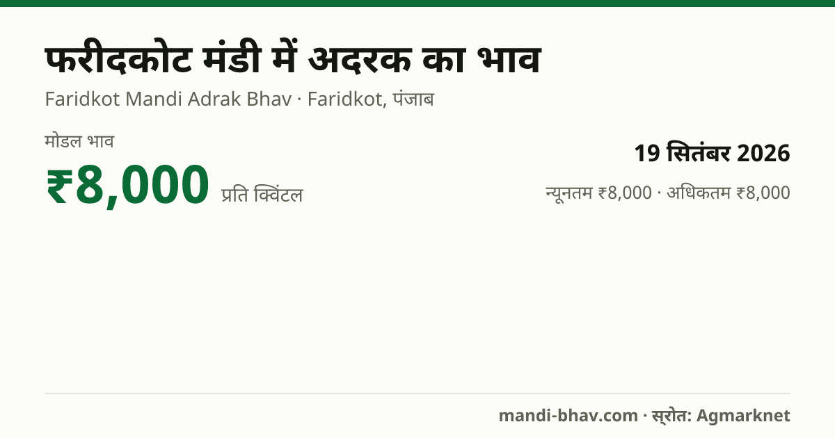 फरीदकोट मंडी में अदरक का भाव 19 सितंबर 2026: मोडल ₹8,000 प्रति क्विंटल, भाव के रुझान का चार्ट