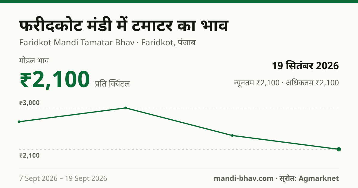 फरीदकोट मंडी में टमाटर का भाव 19 सितंबर 2026: मोडल ₹2,100 प्रति क्विंटल, भाव के रुझान का चार्ट