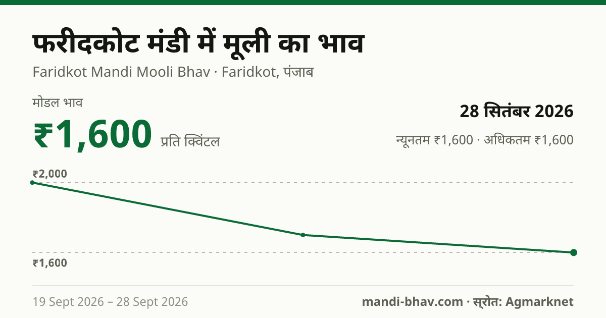 फरीदकोट मंडी में मूली का भाव 28 सितंबर 2026: मोडल ₹1,600 प्रति क्विंटल, भाव के रुझान का चार्ट