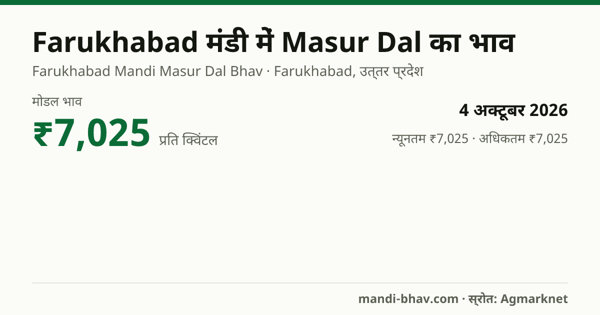 Farukhabad मंडी में Masur Dal का भाव 4 अक्टूबर 2026: मोडल ₹7,025 प्रति क्विंटल, भाव के रुझान का चार्ट