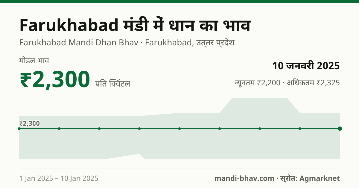 Farukhabad मंडी में धान का भाव 10 जनवरी 2025: मोडल ₹2,300 प्रति क्विंटल, भाव के रुझान का चार्ट