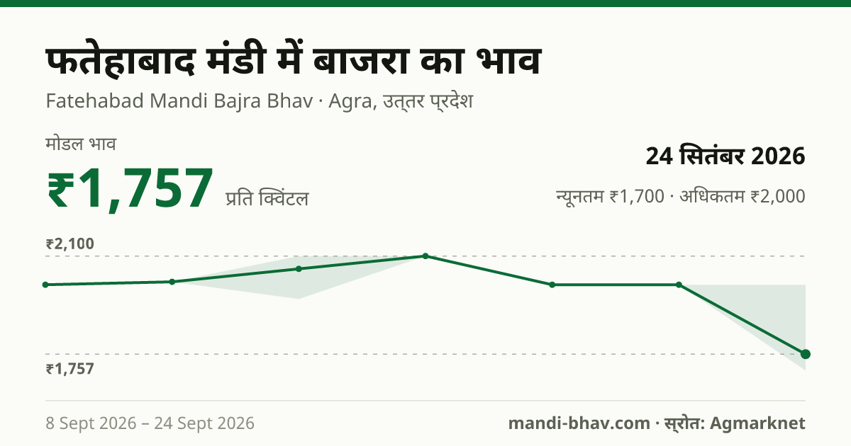 फतेहाबाद मंडी में बाजरा का भाव 24 सितंबर 2026: मोडल ₹1,757 प्रति क्विंटल, भाव के रुझान का चार्ट