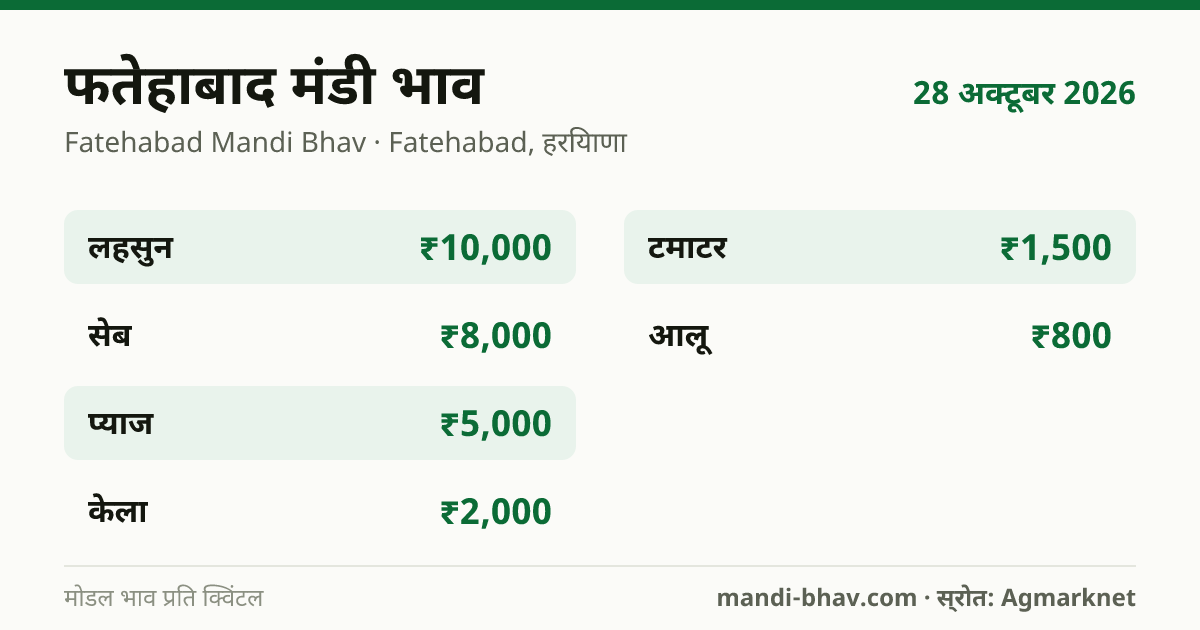 फतेहाबाद मंडी भाव 28 अक्टूबर 2026: फसलवार मोडल रेट प्रति क्विंटल