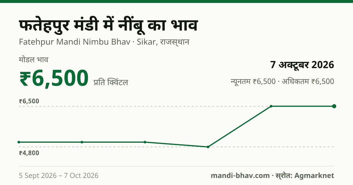 फतेहपुर मंडी में नींबू का भाव 7 अक्टूबर 2026: मोडल ₹6,500 प्रति क्विंटल, भाव के रुझान का चार्ट