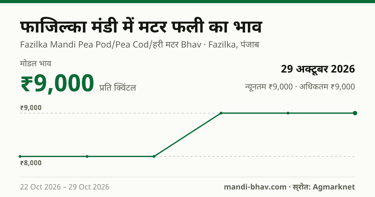 फाजिल्का मंडी में मटर फली का भाव 29 अक्टूबर 2026: मोडल ₹9,000 प्रति क्विंटल, भाव के रुझान का चार्ट