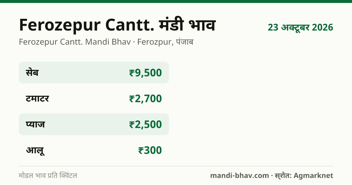 Ferozepur Cantt. मंडी भाव 23 अक्टूबर 2026: फसलवार मोडल रेट प्रति क्विंटल