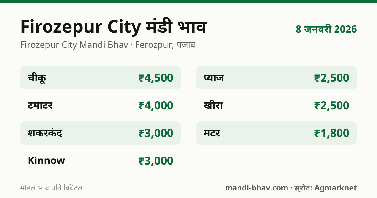 Firozepur City मंडी भाव 8 जनवरी 2026: फसलवार मोडल रेट प्रति क्विंटल