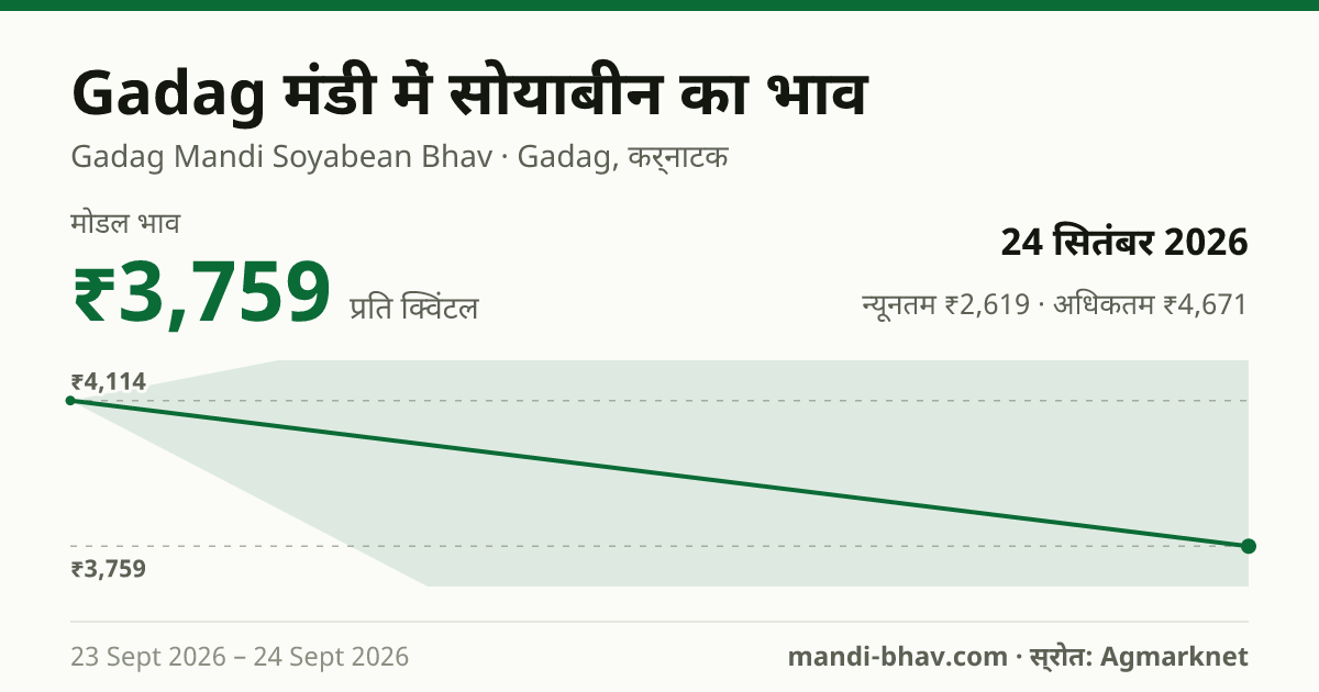 Gadag मंडी में सोयाबीन का भाव 24 सितंबर 2026: मोडल ₹3,759 प्रति क्विंटल, भाव के रुझान का चार्ट