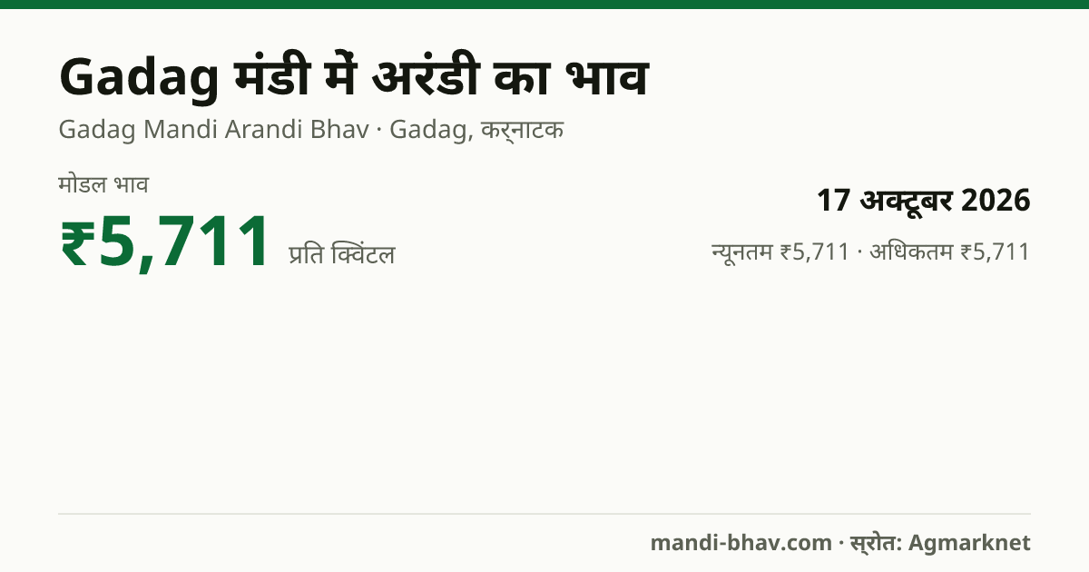 Gadag मंडी में Castor Seed का भाव 17 अक्टूबर 2026: मोडल ₹5,711 प्रति क्विंटल, भाव के रुझान का चार्ट