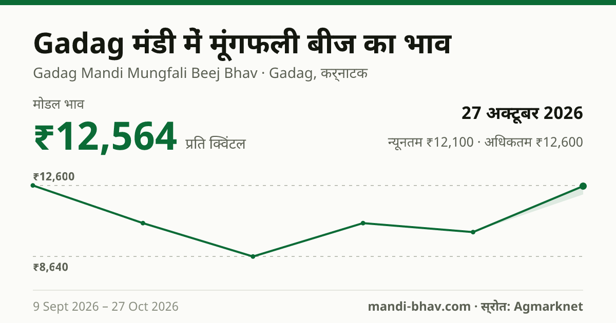 Gadag मंडी में मूंगफली बीज का भाव 27 अक्टूबर 2026: मोडल ₹12,564 प्रति क्विंटल, भाव के रुझान का चार्ट
