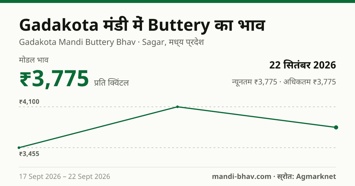 Gadakota मंडी में Buttery का भाव 22 सितंबर 2026: मोडल ₹3,775 प्रति क्विंटल, भाव के रुझान का चार्ट