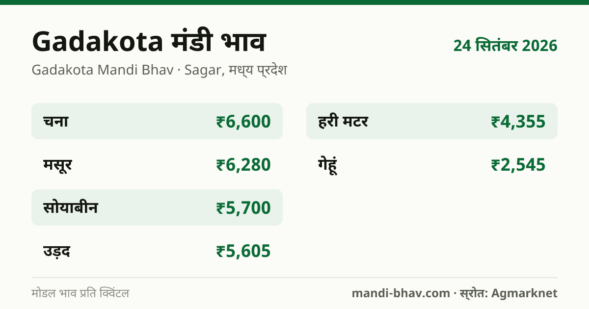 Gadakota मंडी भाव 24 सितंबर 2026: फसलवार मोडल रेट प्रति क्विंटल