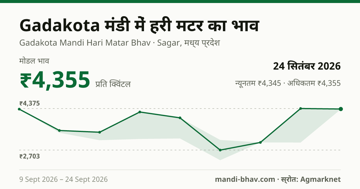 Gadakota मंडी में हरी मटर का भाव 24 सितंबर 2026: मोडल ₹4,355 प्रति क्विंटल, भाव के रुझान का चार्ट