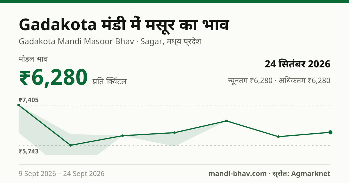 Gadakota मंडी में मसूर का भाव 24 सितंबर 2026: मोडल ₹6,280 प्रति क्विंटल, भाव के रुझान का चार्ट