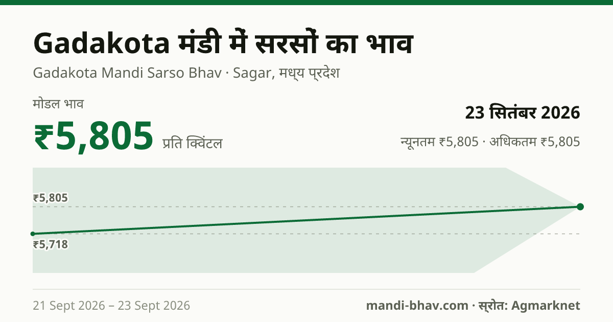 Gadakota मंडी में सरसों का भाव 23 सितंबर 2026: मोडल ₹5,805 प्रति क्विंटल, भाव के रुझान का चार्ट