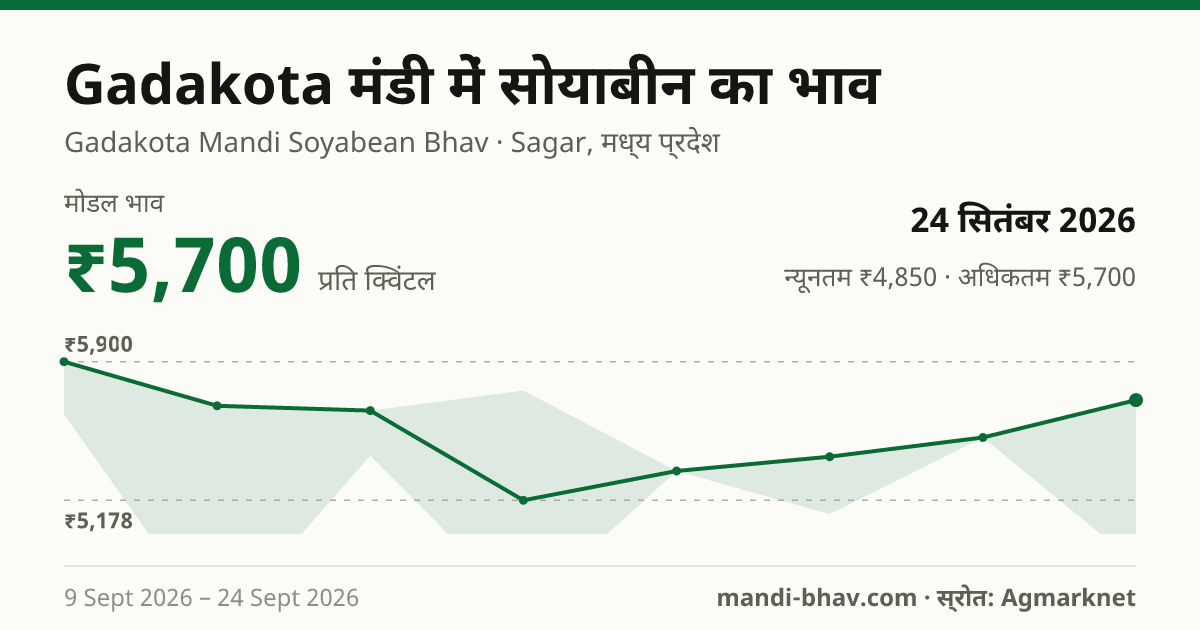 Gadakota मंडी में सोयाबीन का भाव 24 सितंबर 2026: मोडल ₹5,700 प्रति क्विंटल, भाव के रुझान का चार्ट