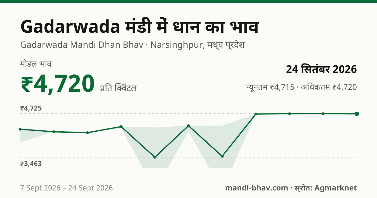 Gadarwada मंडी में धान का भाव 24 सितंबर 2026: मोडल ₹4,720 प्रति क्विंटल, भाव के रुझान का चार्ट