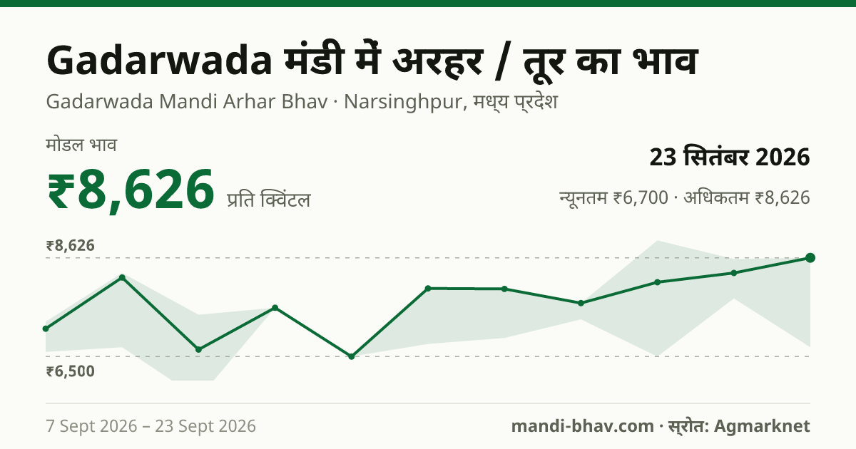 Gadarwada मंडी में अरहर / तूर का भाव 23 सितंबर 2026: मोडल ₹8,626 प्रति क्विंटल, भाव के रुझान का चार्ट