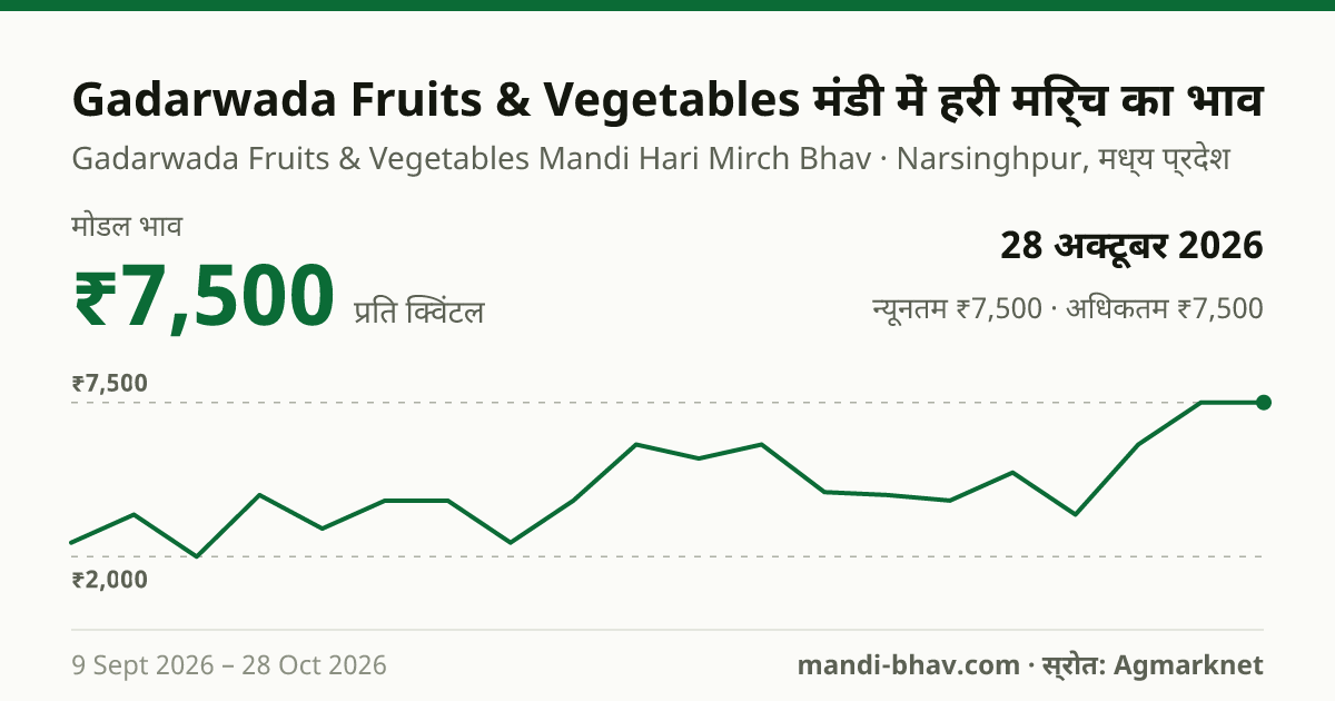 Gadarwada Fruits & Vegetables मंडी में हरी मिर्च का भाव 28 अक्टूबर 2026: मोडल ₹7,500 प्रति क्विंटल, भाव के रुझान का चार्ट