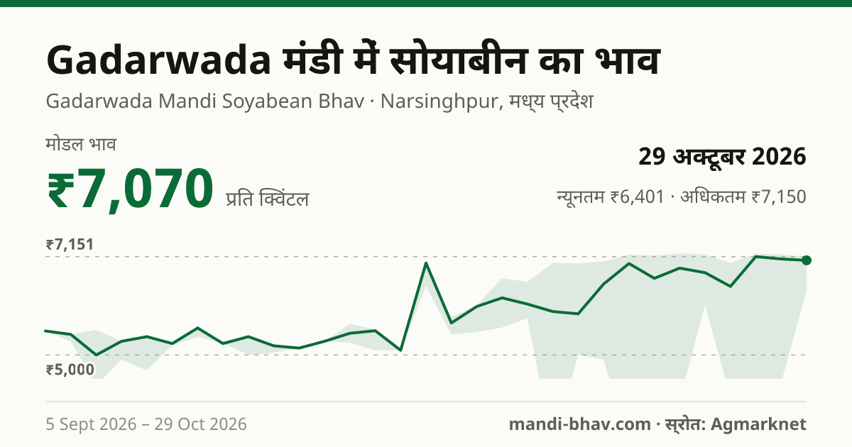 Gadarwada मंडी में सोयाबीन का भाव 29 अक्टूबर 2026: मोडल ₹7,070 प्रति क्विंटल, भाव के रुझान का चार्ट