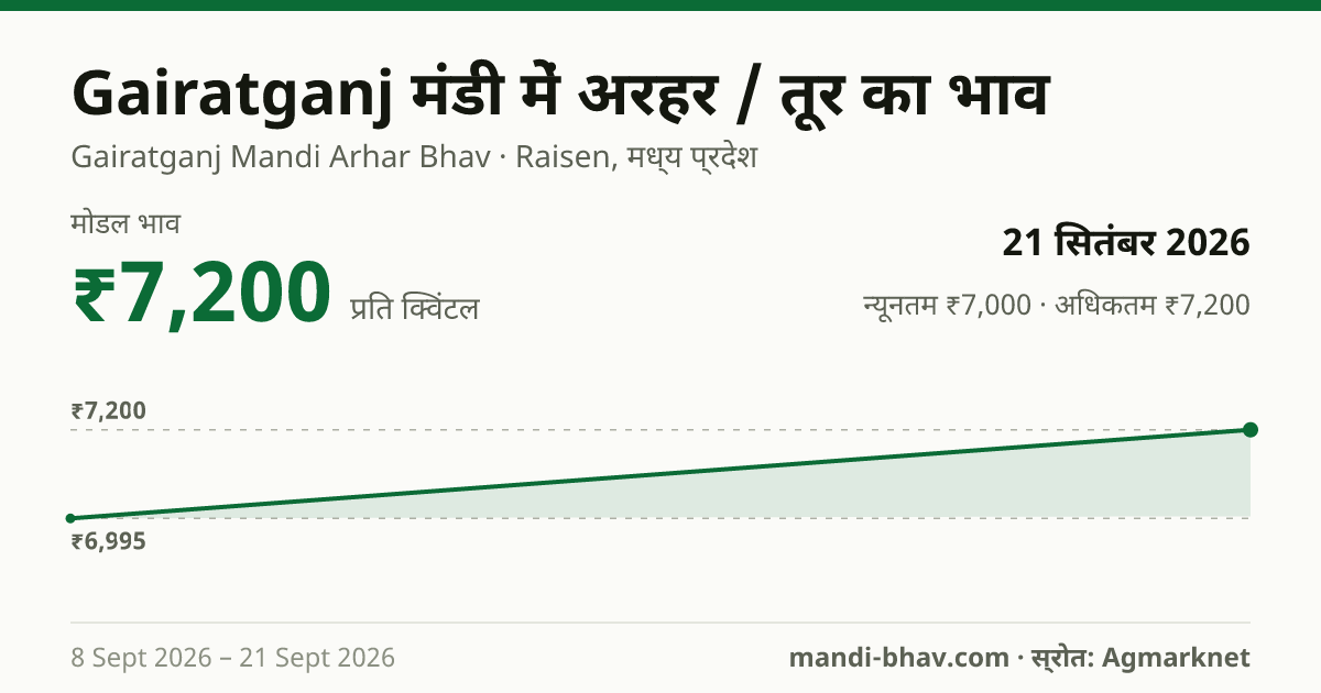 Gairatganj मंडी में अरहर / तूर का भाव 21 सितंबर 2026: मोडल ₹7,200 प्रति क्विंटल, भाव के रुझान का चार्ट